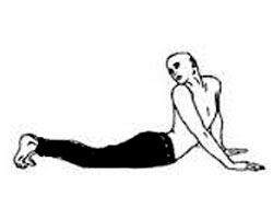 tiriyak bhujangasana