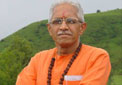 vishwas rao mandlik